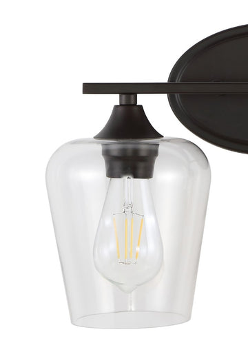 Jayne Iron/Glass Cottage Rustic LED Vanity Light